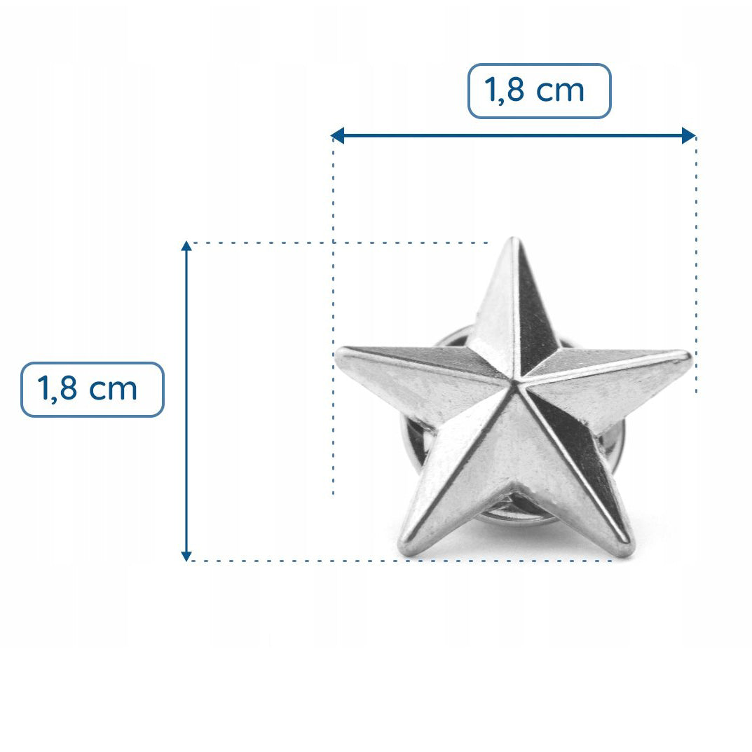 Silberner Stern-Anstecker