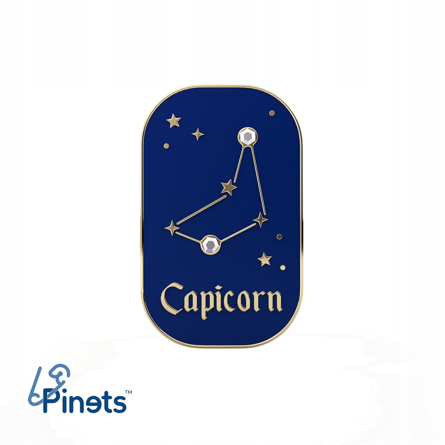Sternzeichen Steinbock – Zirkon-Anstecker mit 14 Karat Gold veredelt
