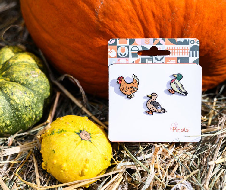 Zwierzęta gospodarstwa domowego