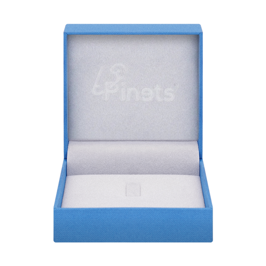 Broschen-Verpackungsbox